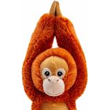 Keel Toys pluche Orang Utan aap knuffeldier - rood/bruin - hangend - 50 cm