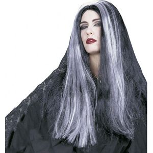 Heksenpruik met lang grijs/zwart haar