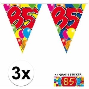 3x vlaggenlijn 85 jaar met gratis sticker