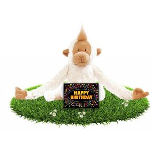 Verjaardag Knuffel Aapje 23 cm met Gratis Verjaardagskaart