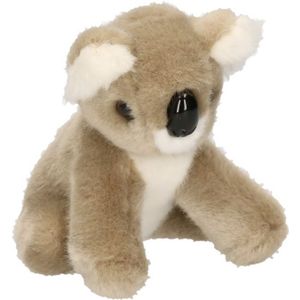 Pluche knuffel baby koala 13 cm