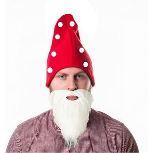 Kabouter/dwerg 2x verkleed sets - rode kaboutermuts met witte lange baard - voor kinderen