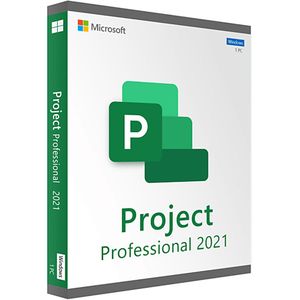 Project 2021 Professional (PC)