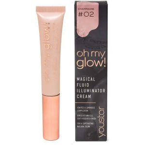 Oh My Glow Highlight Blush 02