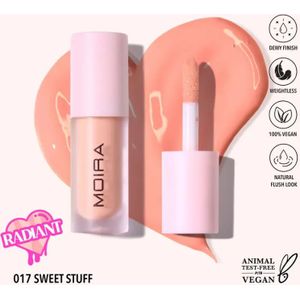 Liquid Blush 017 Sweet Stuff | Vegan