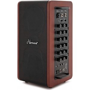 Hartwood Draagbare 60W Akoestische Versterker met Bluetooth