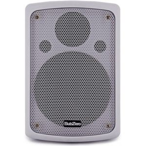 SubZero 100W 8" Passive PA Speaker White