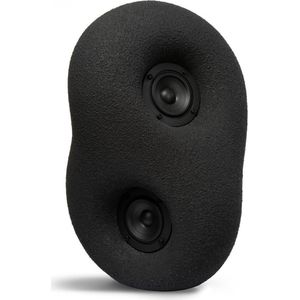 Transparent Acoustic Sculpture Black