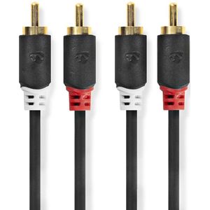 Stereo audiokabel | 2x RCA male - 2x RCA male | 10 m | Antraciet