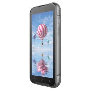 Bluebird EF551R - Mobiele Dataterminal - 14 cm - 2D - Android - Hot-swap - USB-C - Bluetooth - WLAN - NFC