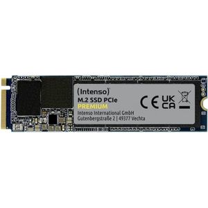 3835440- Intenso 250 GB SSD