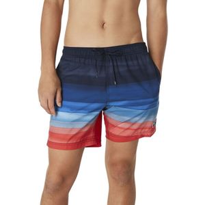 Speedo Eco Sna Print Volley 17 Zwemshort Heren Blauw Dessin