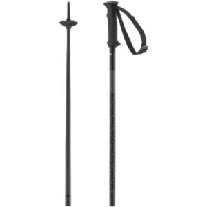 Salomon Poles Polar Access Black Ski Stokken Zwart