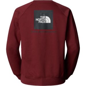 The North Face - Raglan Box NSE Crew - Trui - Sumac/Asphalt Grey