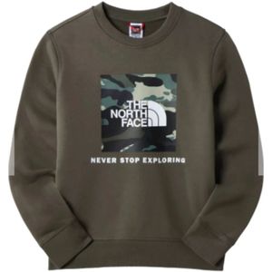 The North Face Box Crew Casual Sweater Jongens Taupe Dessin