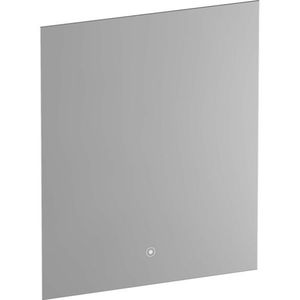 BRAUER Ambiance spiegel 60x70cm met verlichting rechthoek Zilver SP-AMB60