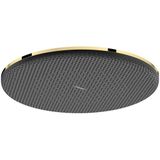 Hansgrohe - Raindance alive - Hoofddouche - Goud - 300 mm - 1 Jet