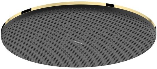 Hansgrohe - Raindance alive - Hoofddouche - Goud - 300 mm - 1 Jet