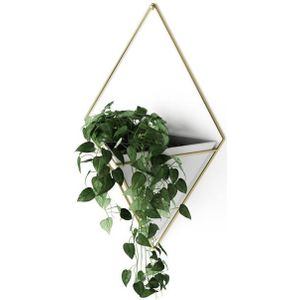 Umbra Trigg plantenhouder 10x22x39cm 1 stuk hangend keramiek wit/goud 470752-524