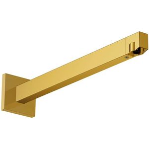 Hansgrohe Raindance alive douchearm - 39cm - Polished Gold Optic (goud) 24337990