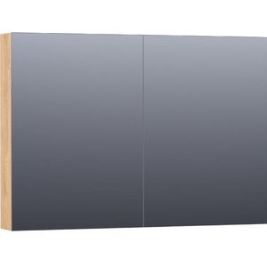 BRAUER Plain Spiegelkast - 100x70x15cm - 2 links/rechtsdraaiende spiegeldeuren - MFC - nomad SK-PL100NM