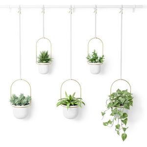 Umbra Triflora plantenhouder 64x110x15cm voor 5 planten Staal Wit/goud 1018086-524