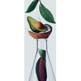 Haarmasker Aveda Botanical Repair 350 ml