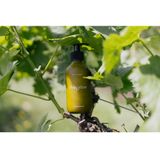 Handreiniger - Mild - Met Ortega-druivenextract - 250ml