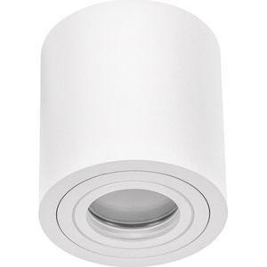Spectrum - LED plafondspot IP65 - Tube rond Wit - met GU10 fitting - excl. LED spot