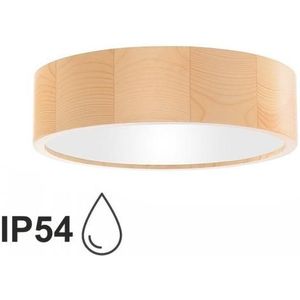 Badkamer plafondlamp CLEO 2xE27/24W/230V IP54 diameter 27,5 cm Dennenboom