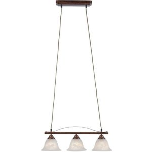 Paul Neuhaus 15243-48 - Hanglamp aan een koord NELLY 3xE14/40W/230V