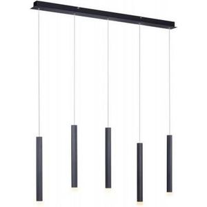 Leuchten Direkt 15205-18 - LED Hanglamp aan een koord BRUNO 5xLED/4,8W/230V zwart