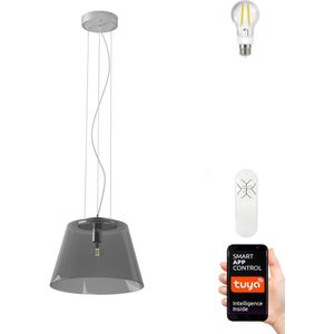 Immax NEO 07054L - Dimbare LED hanglamp aan een koord CONO 1xE27/8,5W/230V 32 cm