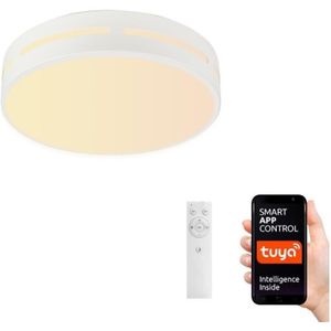 Immax NEO 07153-W40 - Dimbare LED Lamp PERFECTO 24W/230V Wi-Fi Tuya + AB