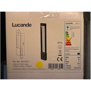 Lucande - LED Buitenlamp met een sensor TEKIRO LED/14W/230V IP54