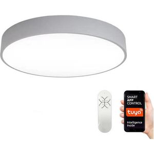 Immax NEO 07143-GR60 - Dimbare LED Lamp RONDATE 50W/230V Tuya grijs + afstandsbediening