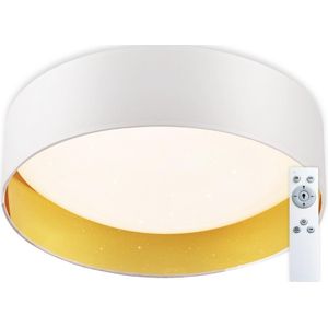 Top Light - Dimbare LED plafondlamp LED/24W/230V +dálkové bediening wit