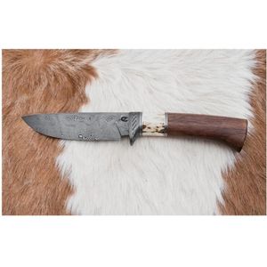 Damascus jachtmes 11,8 cm walnoot/herten gewei