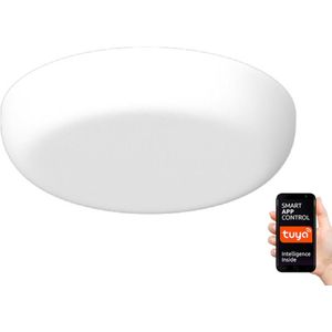 Immax NEO - LED Badkamer plafondlamp dimbaar PRACTICO LED/24W/230V