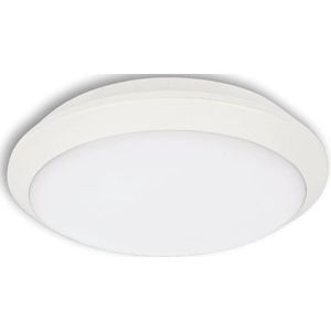 LED Plafondlamp voor buiten TIPO LED/18W/230V IP66