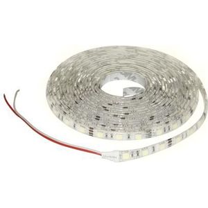 LED Strip badkamer 5m koud wit IP65