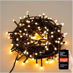 Immax NEO 07749L - LED Lichtsnoer voor buiten 200xLED/8 Functies 23m IP44 Wi-Fi Tuya