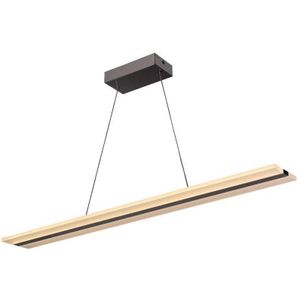 Dimbare LED hanglamp aan een koord LED/40W/230V 3000-6500K chroom + afstandsbediening