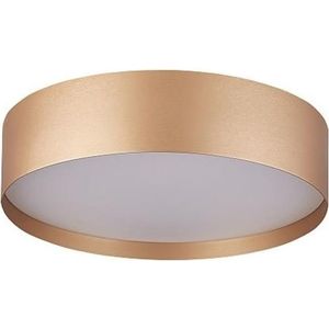 Palnas 61004624 - LED Plafondlamp SOFIE LED/50W/230V