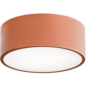 Sensorlamp - CLEO - Plafondlamp - Geschikt voor Binnengebruik - E27 Fitting