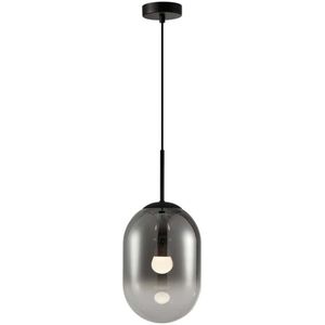 Hanglamp aan een koord ALIAS 1xE14/40W/230V diameter 24 cm zwart/grijs