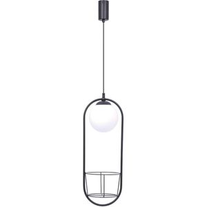 Zuma Line 5003 - Hanglamp aan een koord PLANT 1xE14/40W/230V zwart