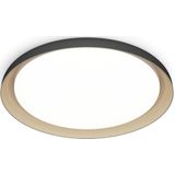 Philips Pebblo plafondlamp - Ultra Efficient - SceneSwitch lichttechnologie - 10W - Helderwit licht - Zwart met goud design - Bespaar op energiekosten