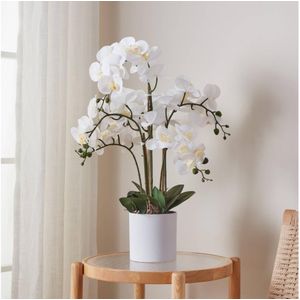 Eglo 428024 - Kunstplant HYUGA orchidee in pot 65x50 cm