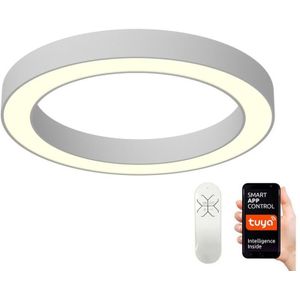 Immax NEO 07144-GR95 - Dimbare LED Lamp PASTEL LED/66W/230V Tuya grijs + afstandsbediening
